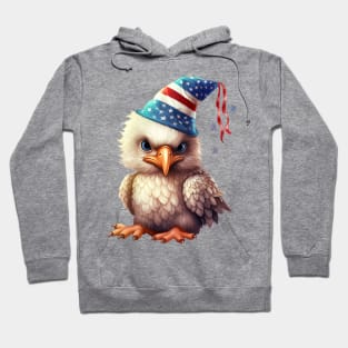 4th of July Baby Bald Eagle #5 Hoodie